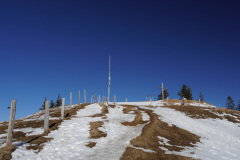 DSC00650