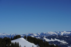 DSC00654