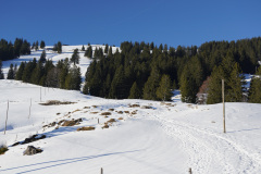 DSC00669