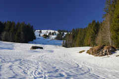 DSC00671