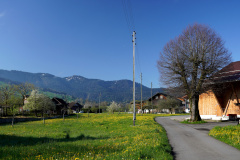 DSC06768