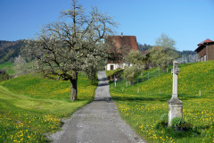 DSC06770