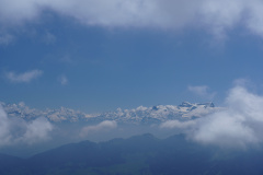 DSC06804