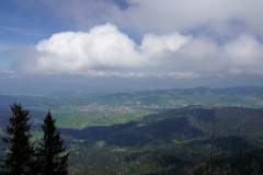 DSC06808