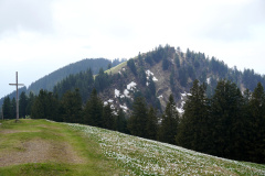 DSC06816