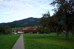 DSC09386