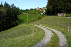 DSC09396