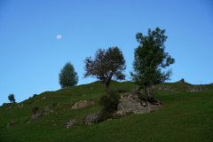 DSC09402