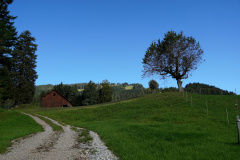 DSC09403