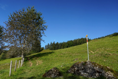 DSC09409