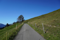 DSC09420
