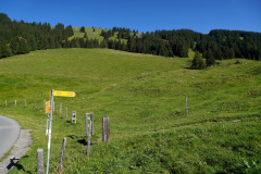DSC09423