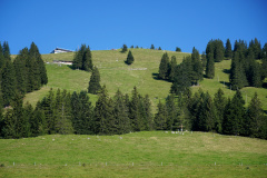 DSC09427