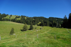DSC09433