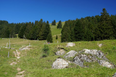 DSC09437