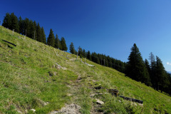 DSC09447