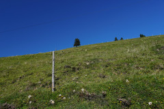 DSC09450