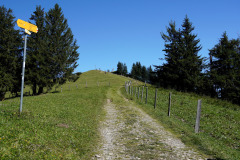 DSC09478