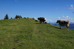 DSC09484