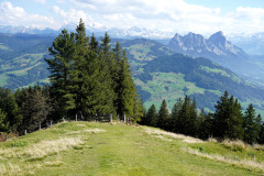 DSC09495