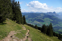 DSC09501