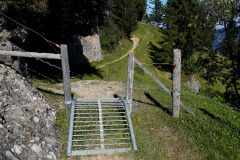 DSC09504