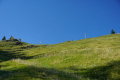 DSC09513