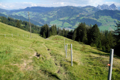 DSC09519