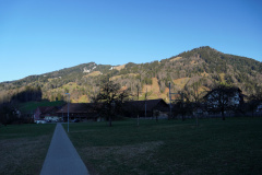 DSC00353