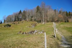 DSC00356