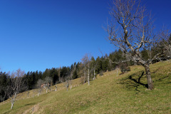 DSC00360