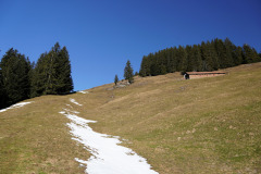DSC00370