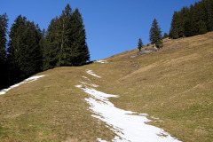 DSC00371