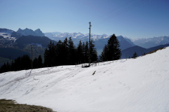 DSC00377