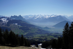 DSC00392
