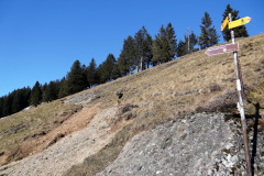 DSC00395
