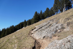 DSC00399