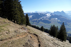DSC00400