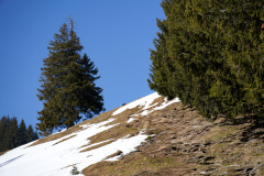 DSC00405