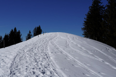 DSC00447