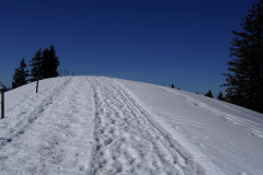 DSC00454