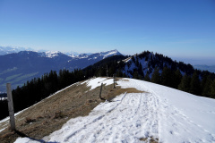 DSC00461