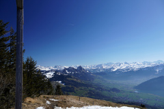 DSC00495