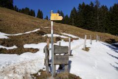 DSC00501