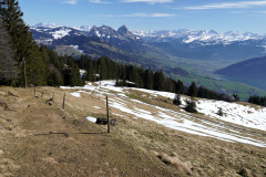 DSC00506