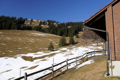 DSC00511