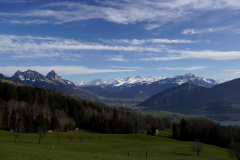 DSC00513
