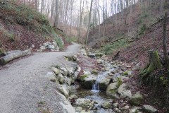 DSCN0390