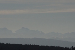 DSCN0392