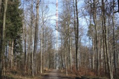 DSCN0407